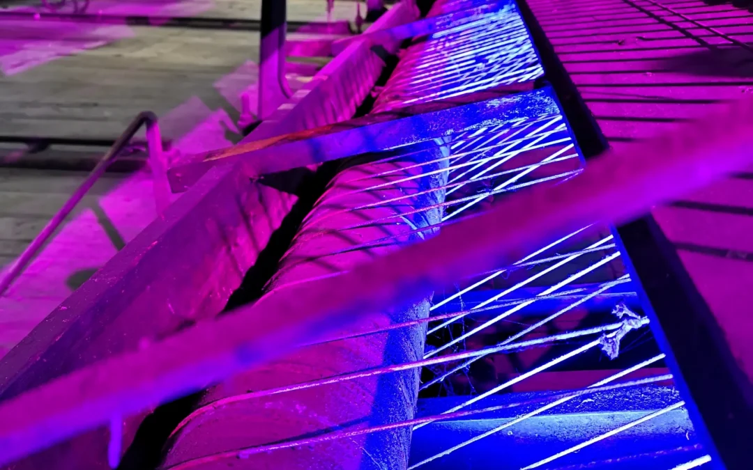 Organisation des journées du patrimoine des moulins