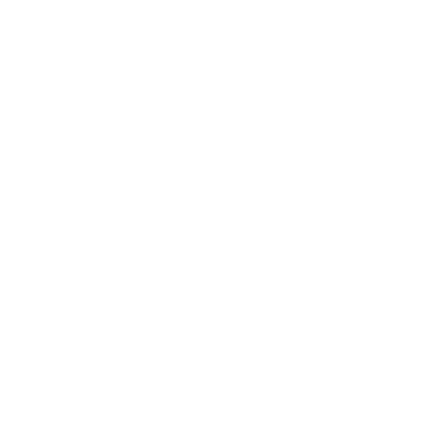 Projet Millénaire